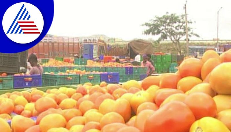 Tomato Price Hike in Kolar Market gvd 