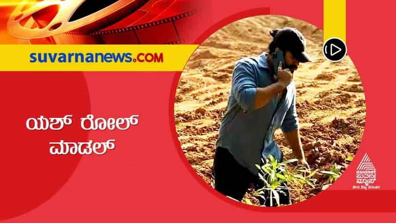 Kannada actor Yash social work and agriculture interest vcs 