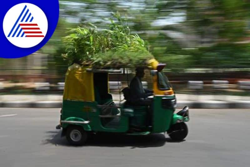 Delhi Driver Mahendra Kumar converted his auto in literal garden on its roof for customers cool ride ckm