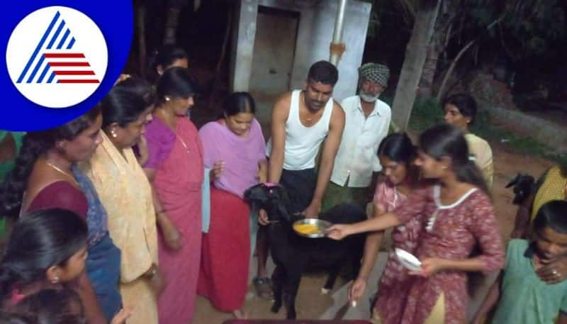 farmer celebrated sheep  lamb's  birthday at Hiriyuru near Chitradurga  gow