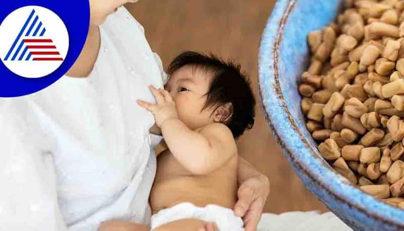 seven super foods to increase breastmilk in new moms