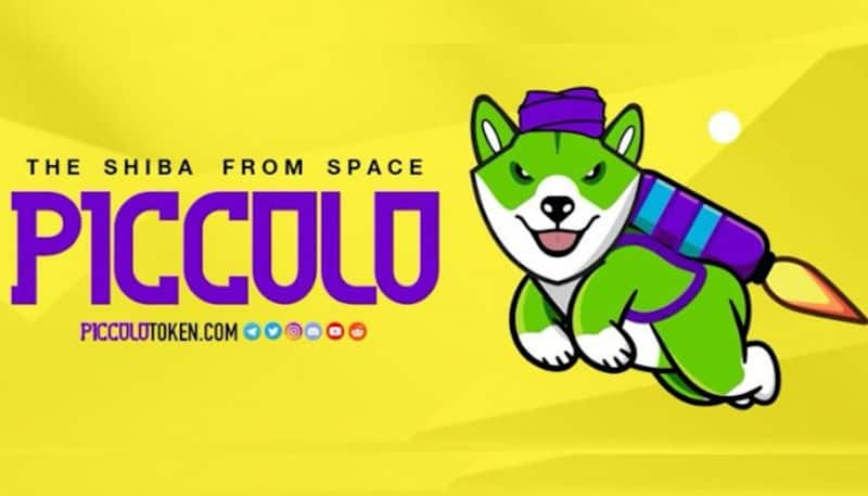 Piccolo Inu Explains the User Benefits of Cryptocurrency-vpn