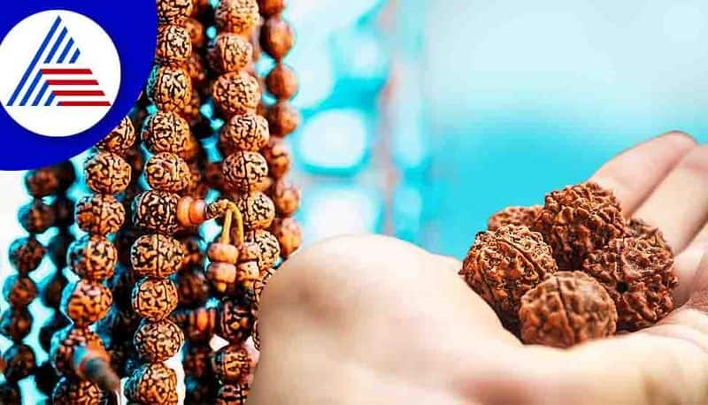 Benefits of wearing rudraksha and know who can wear it?  