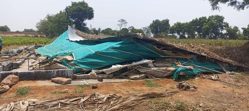 Heavy Rain  air silk rearing shed damage at Koppal rbj