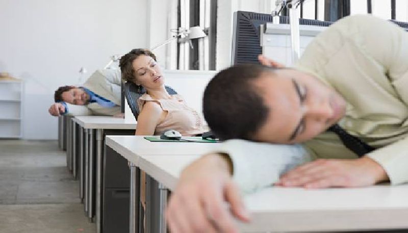 company allows their employees to sleep at work 