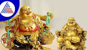 మీ ఇంట్లో ఈ 5 వస్తువులు ఉంటే..  డబ్బు , ఆరోగ్యం మీ సొంతం