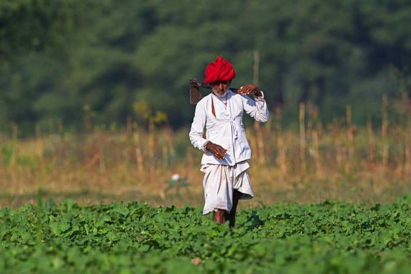 No wild animal human conflict in Bera  strange story of  a Rajasthan village