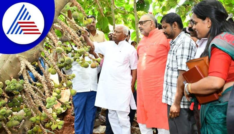 Union Agriculture Minister Giriraj Singh visited Tumkur farmer farm gvd