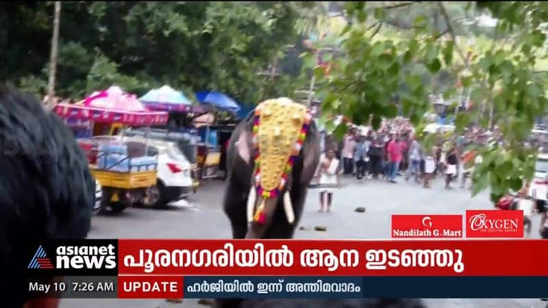 The elephant crashed into Purana Gari