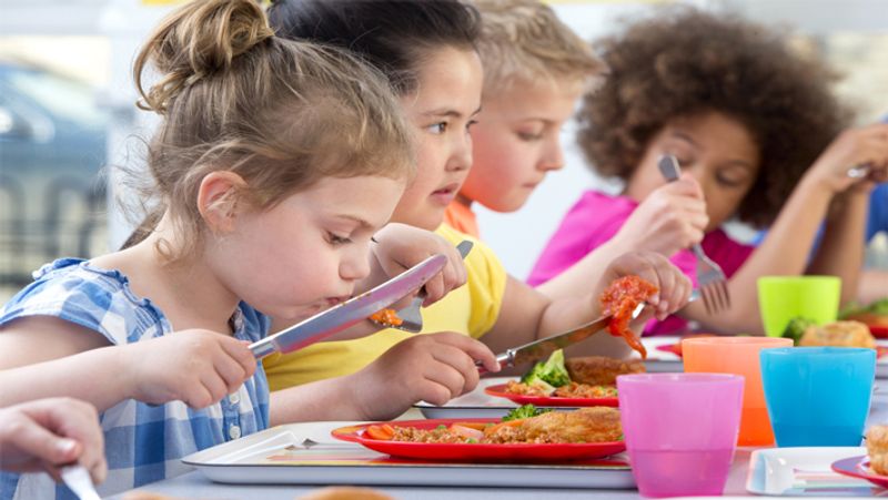 Healthy Habits This Rules Ensure A Healthy Lifestyle For Kids 