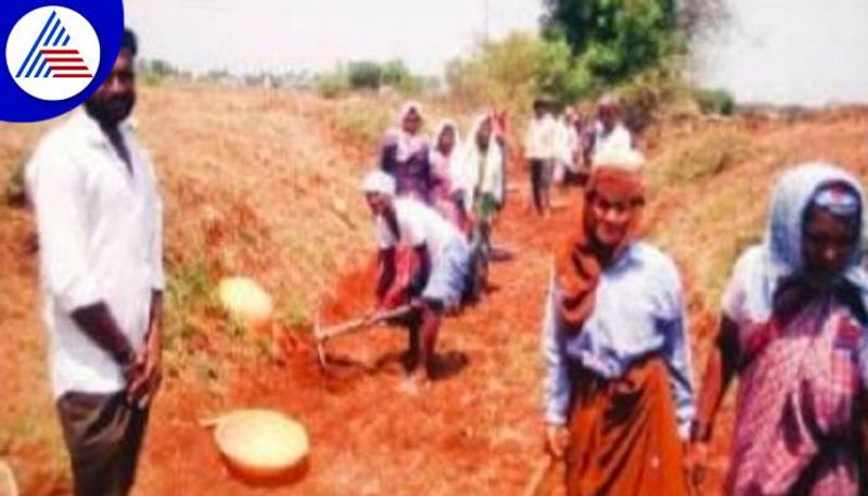 70 Years Old Age Woman Did Work in MGNREGA at Koppal grg 