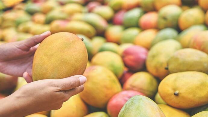 इस तरह से खरीदेंगे तो शक्कर जैसा मीठा निकलेगा आम, जानें Mango चुनने के बेस्ट टिप्स