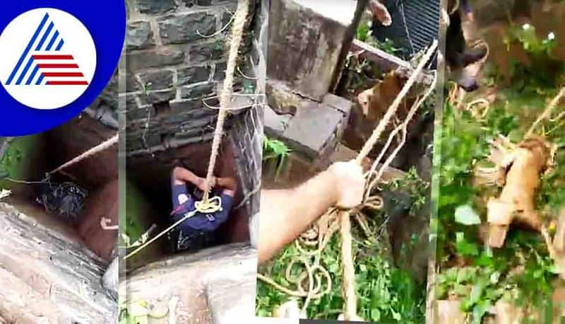 Street dog rescued that fell into the well at Belagavi 