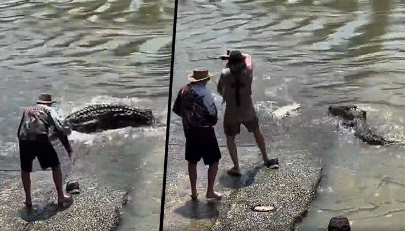 Brave man battles with a crocodile to catch fish; viral video - gps