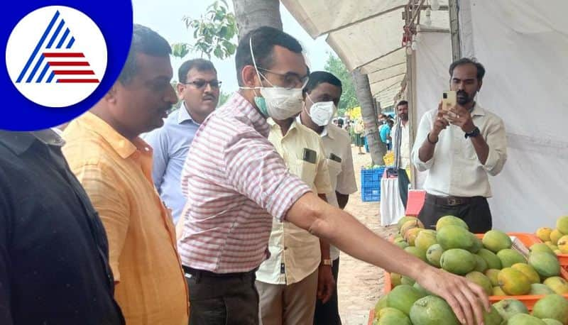 Kar Siri Mango Fair Starts in Ramanagara gvd