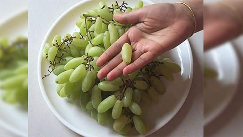 how to keep grapes fresh for a long time rsl