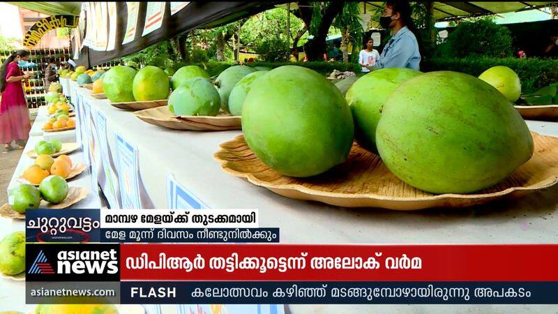 Kasargod Mango Fest