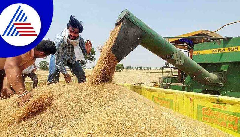 I Beg India To Reconsider Wheat Export Ban says IMF Chief Kristalina Georgieva akb