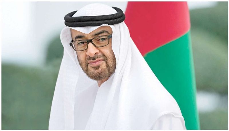 UAE President to visit Russia tomorrow for  Brics summit