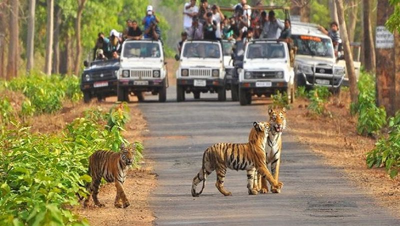 Corbett Tiger Reserve camera traps drones being used to snoop on women san