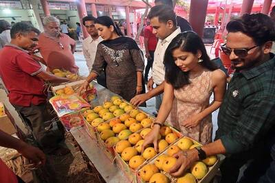 दो साल बाद मैंगो जत्रा में महकी आम की खुशबू, जानिए कहां मिल रहा सबसे मीठा आम, क्या है इसकी कीमत