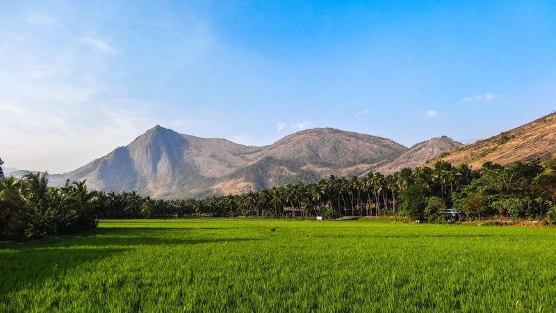 western ghats
