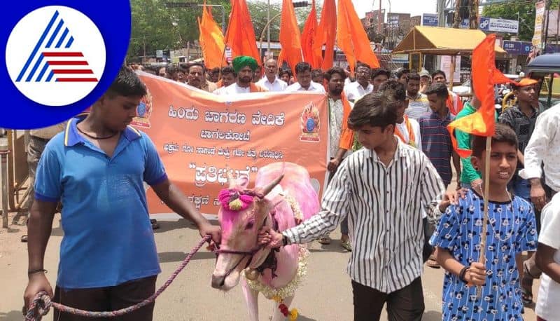 Protest march by Hindu Vigilance Forum against illegal cattle trafficking and slaughterhouses in bagalkote gvd