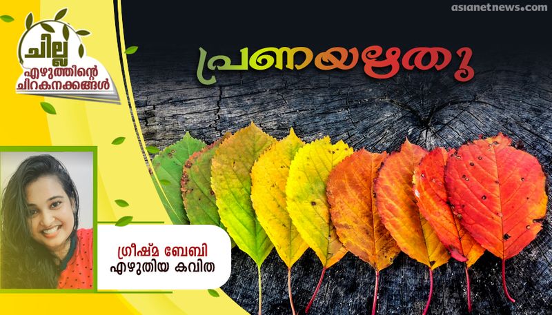 chilla malayalam poem by Greeshma Baby