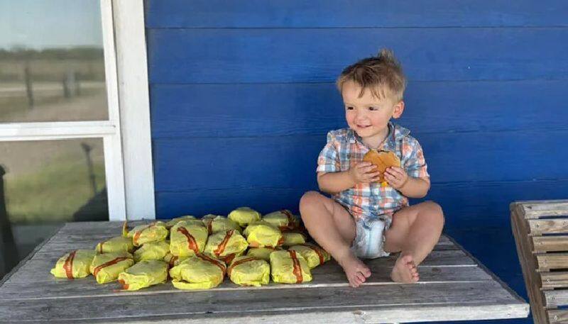 toddler ordered 31 burgers by using mothers phone