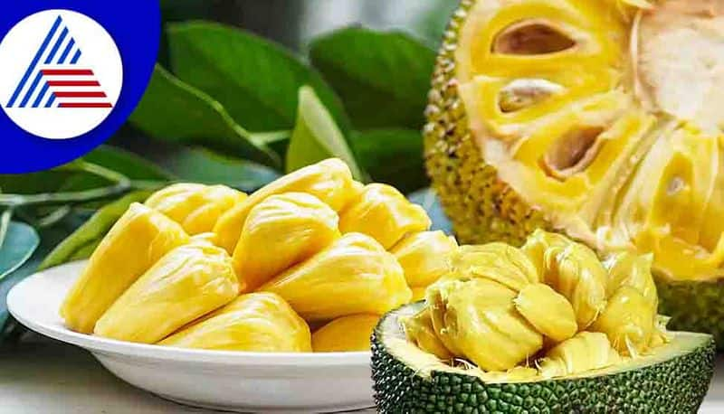 Seasonal fruit jackfruit good for diabetic and insomnia problem