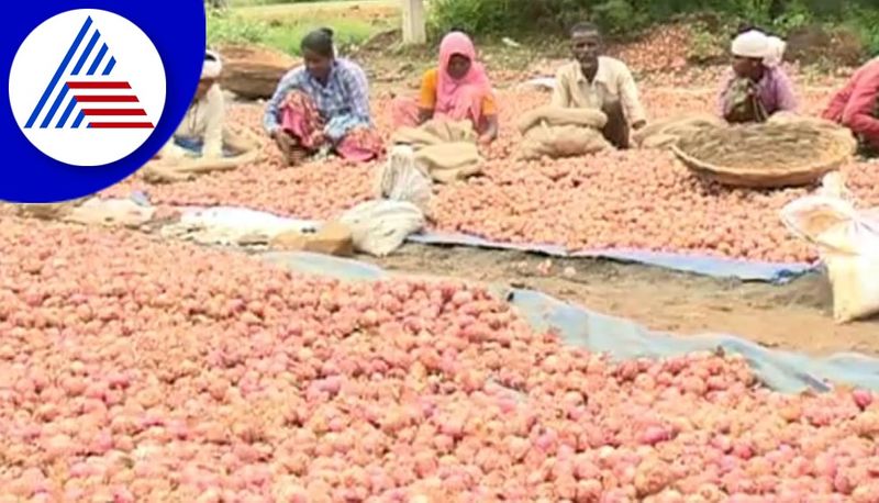 Chitradurga farmers distress for onion prices decrease gow