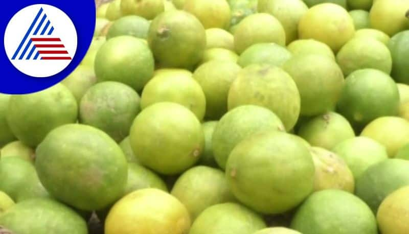 Rise In Summer Creates Demand For Lemon And Hike In Price gvd