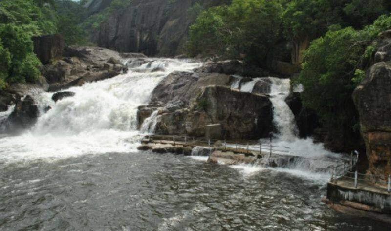 Excess water release in Thamirabarani River: District Collector warns sgb