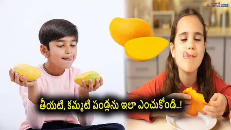 tips to buy fresh and sweet mangoes