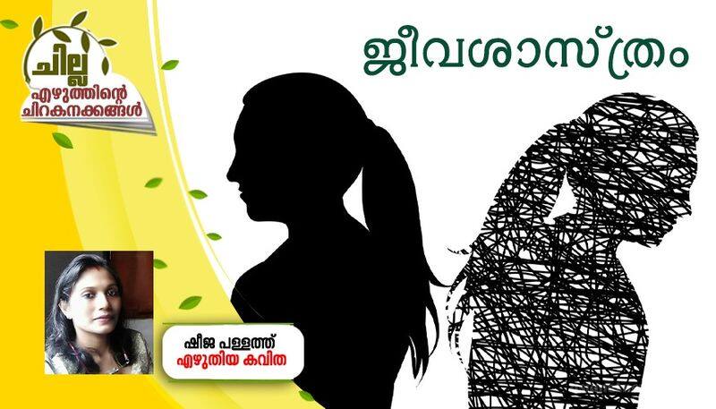 chilla malayalam poem by Sheeja Pallath