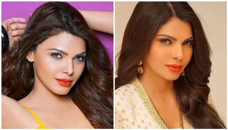 Dont Mind Appearing Nude sherlyn Chopra Says About On Playboy