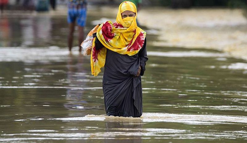 officials close safari zoo park in hyderabad due to floods