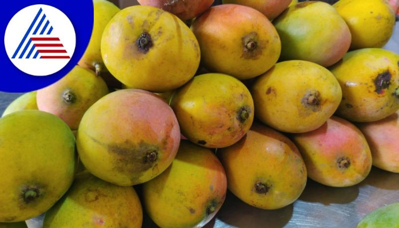 Mango Mela attracts Huge Crowd in Udupi gow