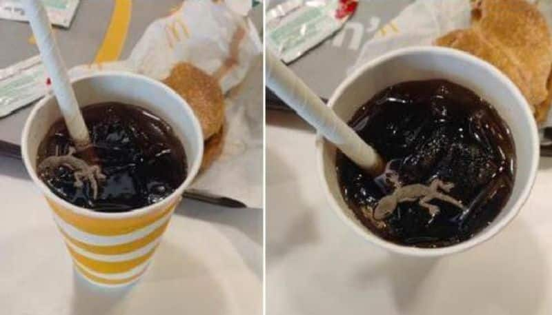 dead lizard in cold drink complaint against mc donalds outlet