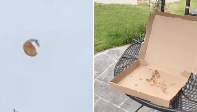 bird flying with womans pizza video goes viral