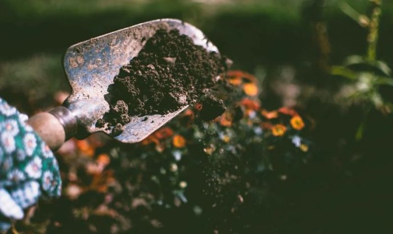 Save Soil Movement : 15 significant facts you must know