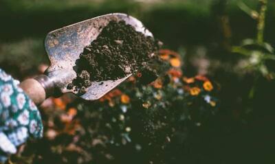 Save Soil Movement: 15 significant facts you must know