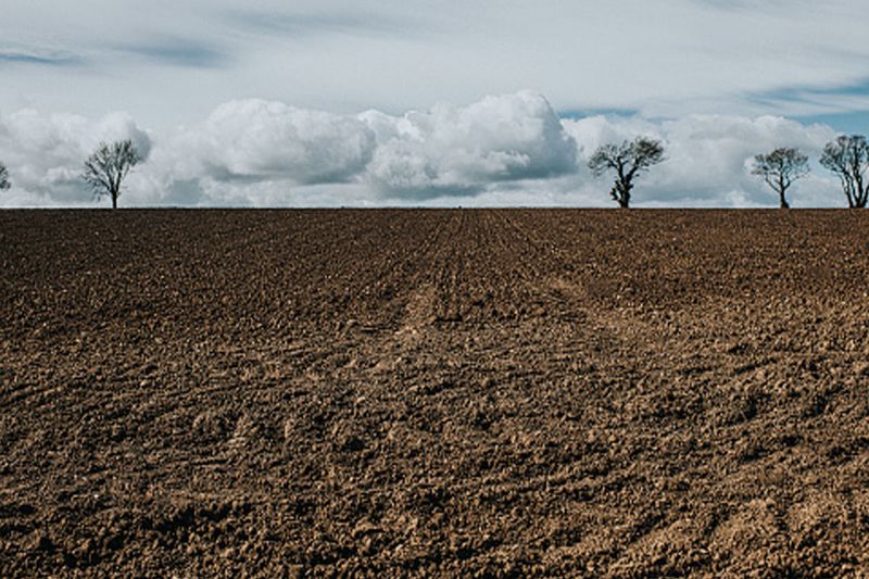 21899 Hectares Soil Fertility Declines in Mandya district grg