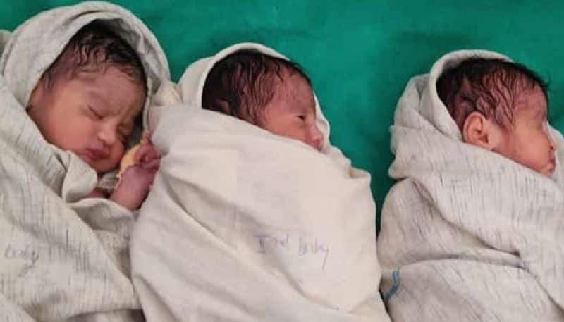 Woman Gives Birth 3 Babies in Chitradurga grg