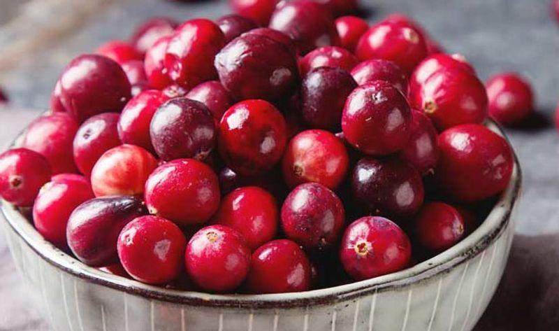 health benefits of cranberries and cranberry juice