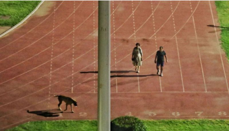 athletes told to leave Stadium for IAS officer can walk with dog report 