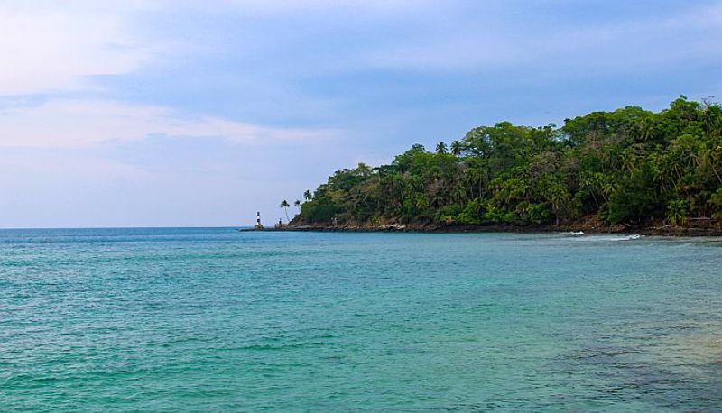 Climate alert Massive coral bleaching in Andaman sea