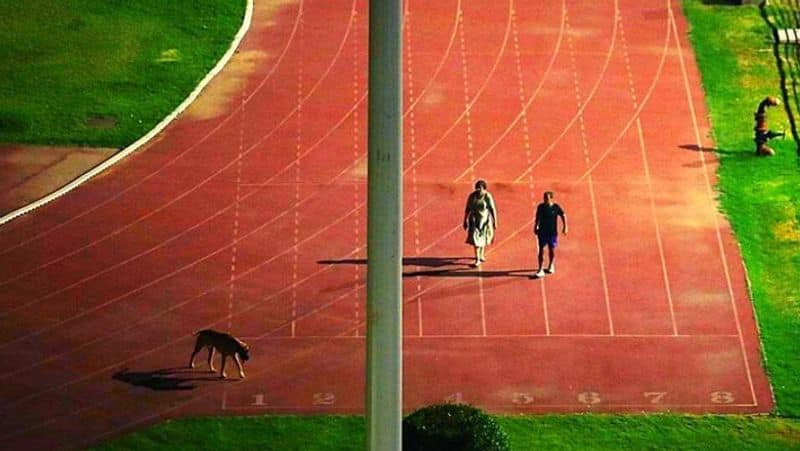 Delhi Thyagraj Stadium Dog walking IAS transferred to Ladakh