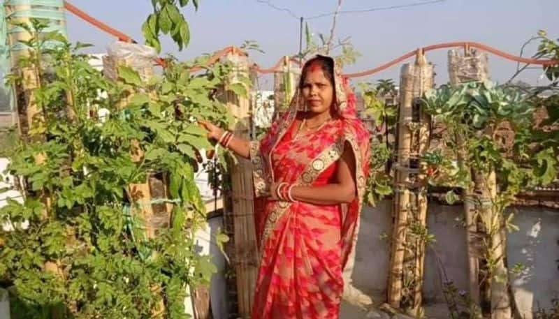 vegetables in pvc pipes and bamboos 