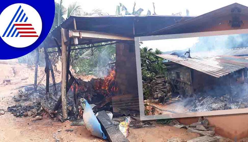 accidental fire cows burnt in chikkamagaluru gow